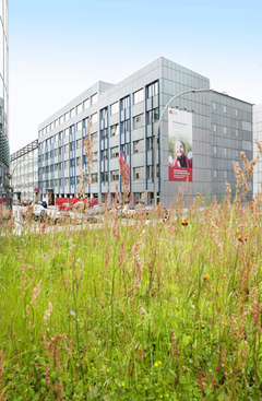 Bilingualer Phorms Campus Hamburg Privatschulen Vergleich De