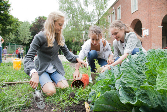 Bilingualer Phorms Campus Munchen Privatschulen Vergleich De